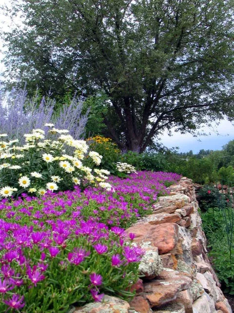 Custom yard cleanup service in Lakewood, CO - Alternative Land Design