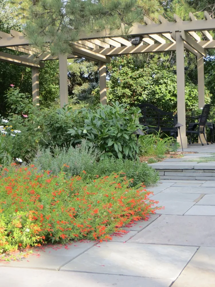 Top-rated lawn mowing service for residential properties across Lakewood, CO - Alternative Land Design