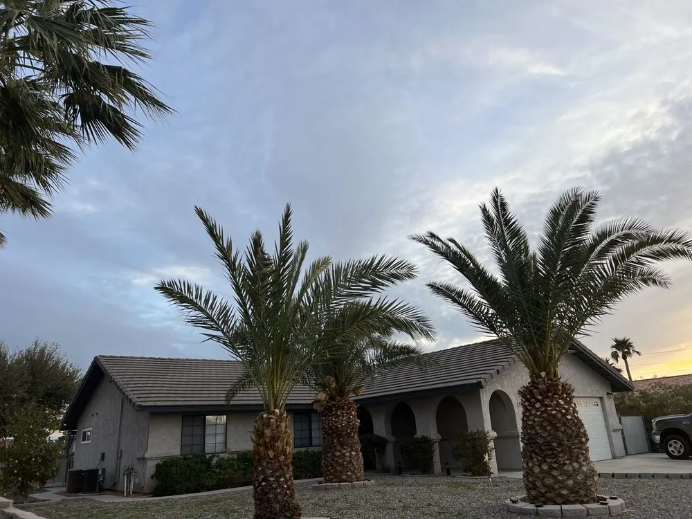 Affordable outdoor landscaping in Bullhead City, AZ - Alternative Landscaping