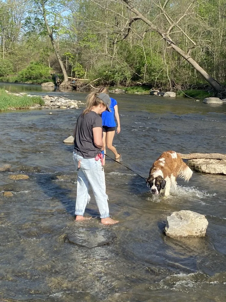 Reliable yard cleanup service experts serving Lancaster, NY - Alternative Landscaping