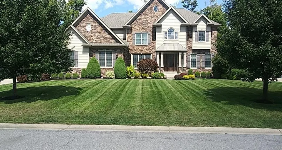 Professional garden landscaping experts serving Lancaster, NY - Alternative Landscaping