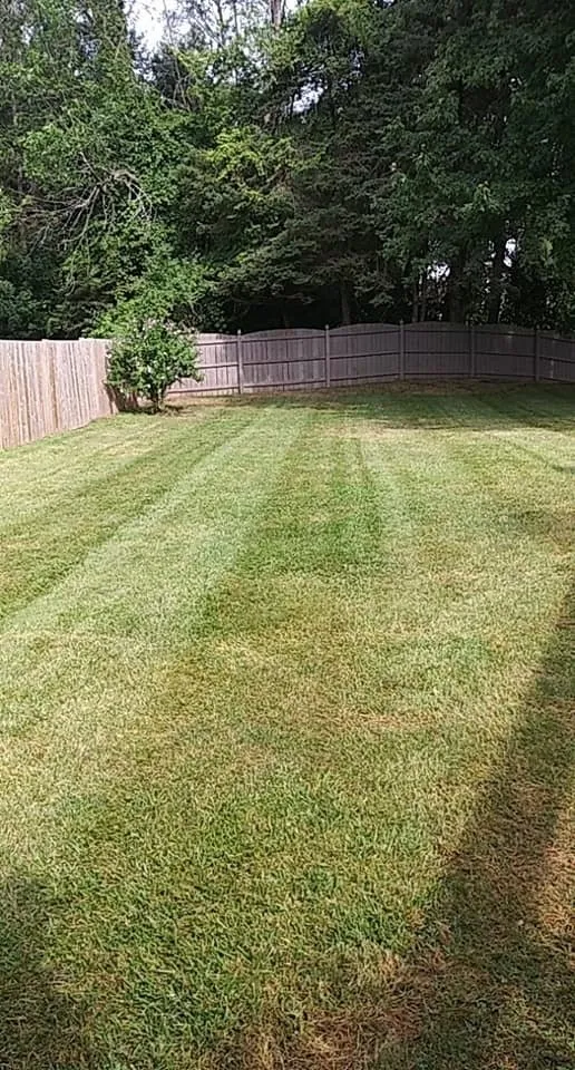 Top-rated lawn care service with custom design across Lancaster, NY - Alternative Landscaping