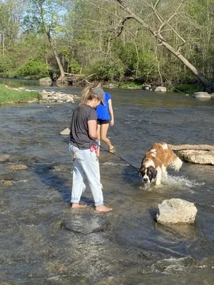 Alternative Landscaping