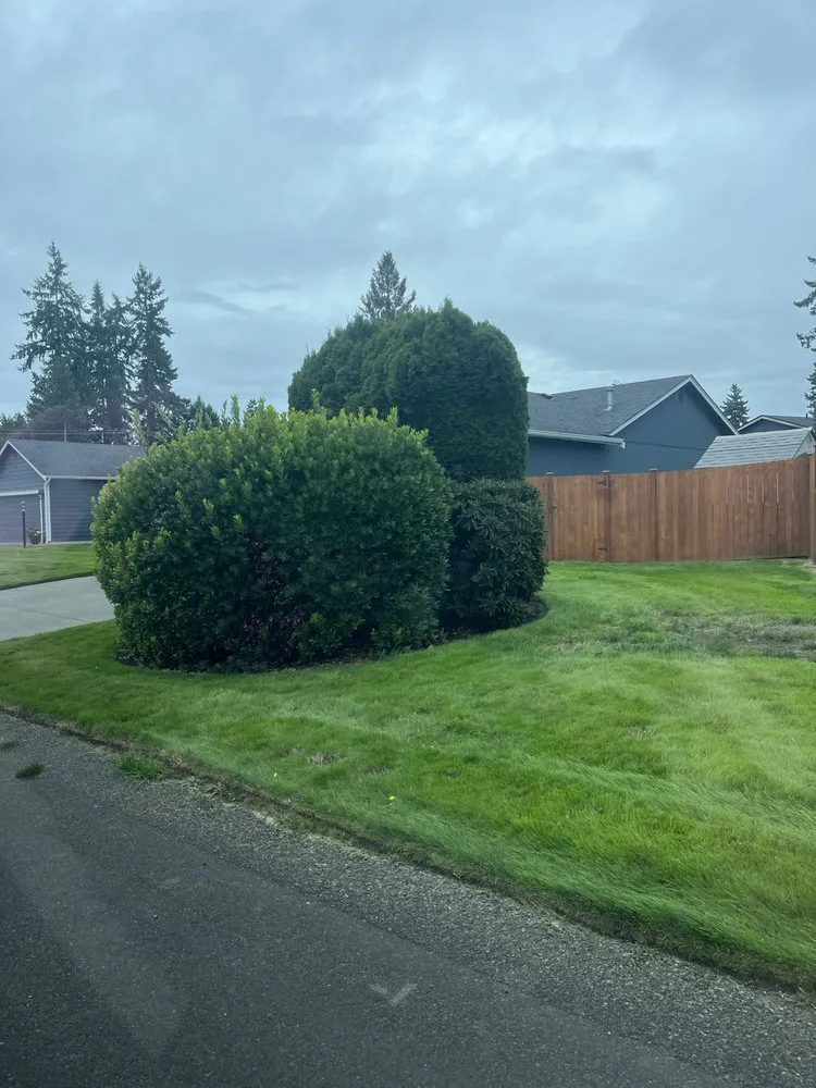 Local residential landscaping in Puyallup, WA by Alternative Landscaping