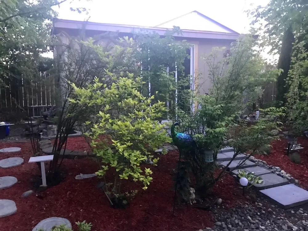 Expert yard cleanup service experts serving Puyallup, WA - Alternative landscaping