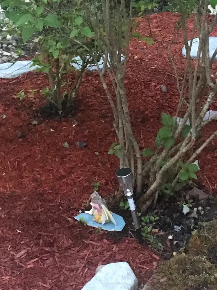 Trusted yard maintenance in Puyallup, WA - Alternative landscaping