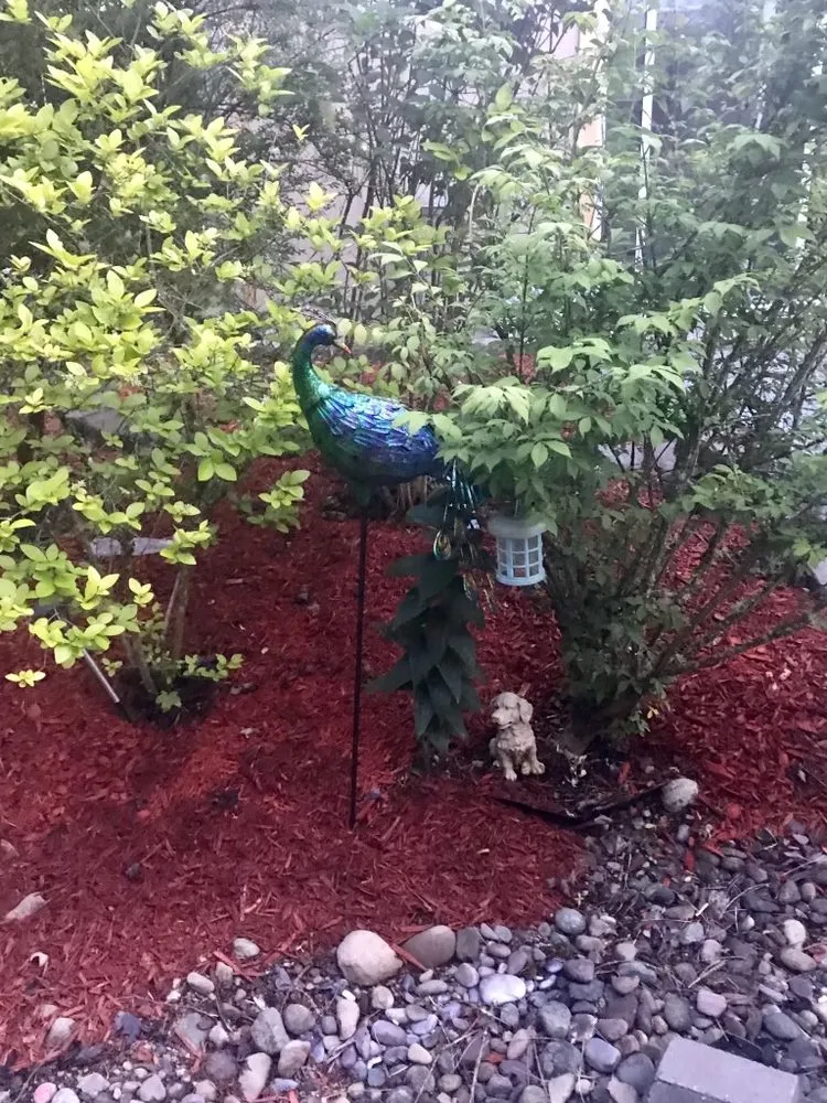 Top-rated lawn care service with custom design in Puyallup, WA by Alternative Landscaping