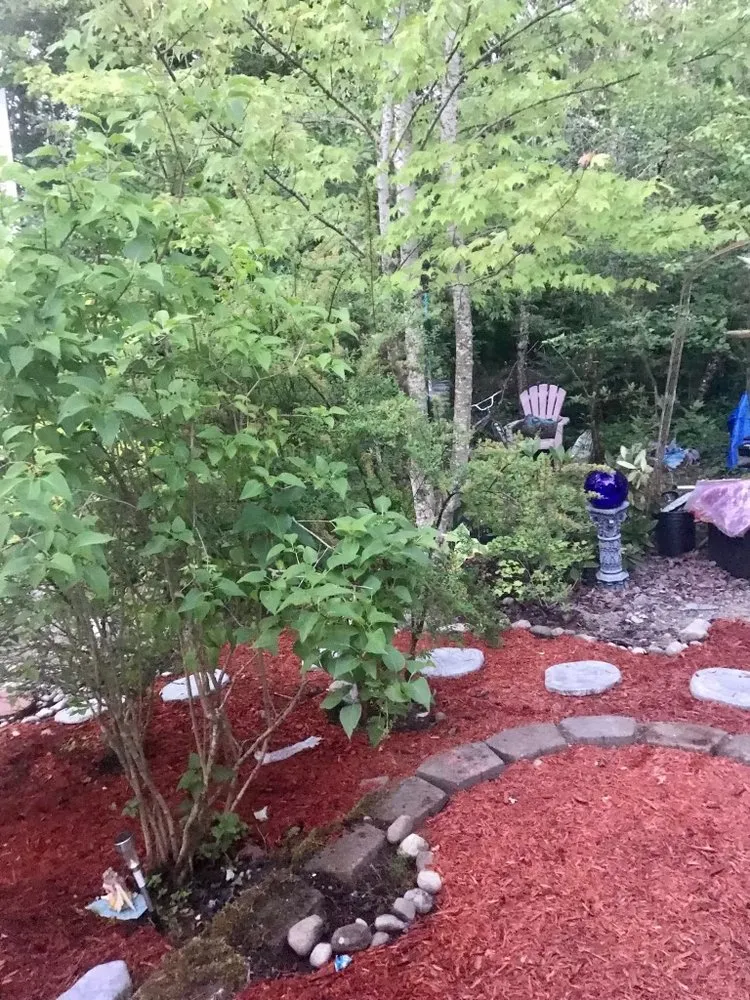 Top-rated lawn care service for year-round maintenance in Puyallup, WA by Alternative Landscaping