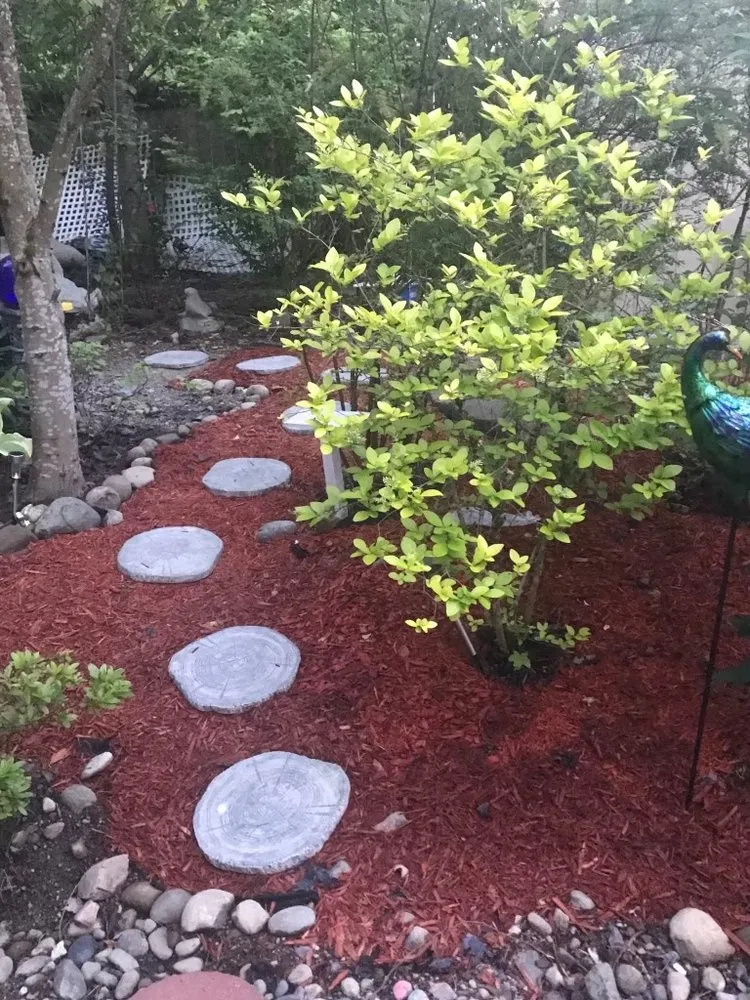 Local lawn mowing service experts serving Puyallup, WA - Alternative Landscaping