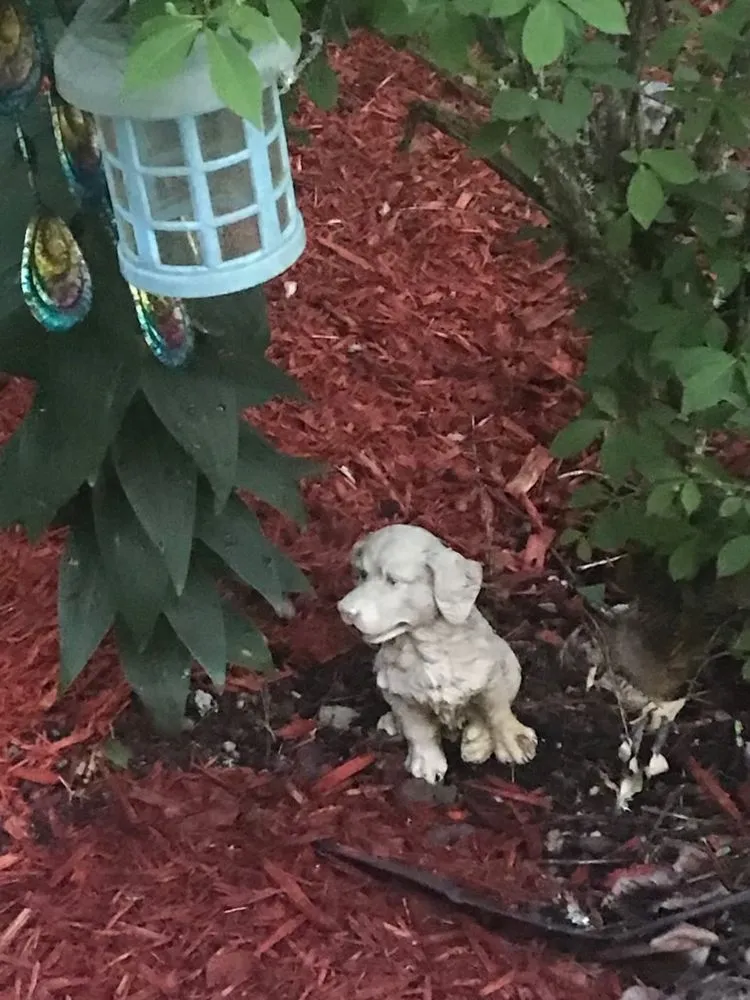 Professional garden landscaping for outdoor upgrades in Puyallup, WA by Alternative Landscaping