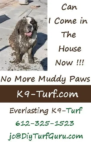 Professional yard cleanup service in Saint Paul, MN by Alternative Landscaping