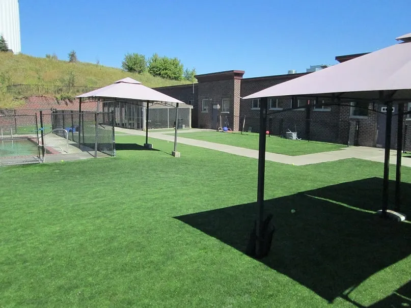 Professional lawn care service in Saint Paul, MN by Alternative Landscaping