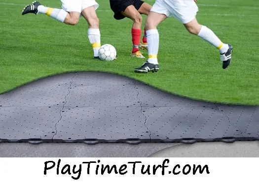 Custom lawn mowing service in Saint Paul, MN - Alternative Landscaping