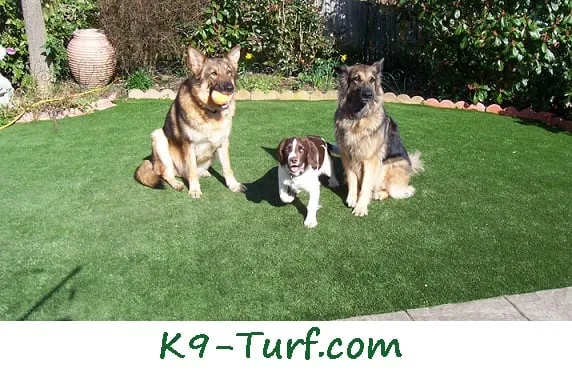 Top-rated yard maintenance in Saint Paul, MN by Alternative Landscaping