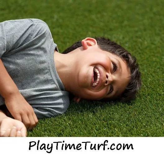 Local residential landscaping for year-round maintenance across Saint Paul, MN - Alternative Landscaping