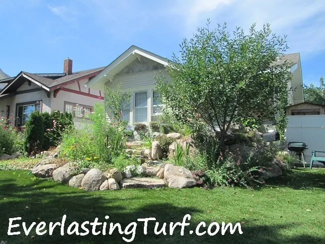 Custom residential landscaping experts serving Saint Paul, MN - Alternative Landscaping