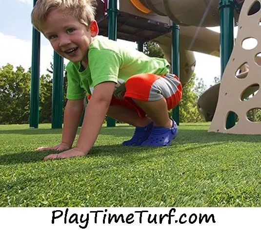 Trusted yard cleanup service experts serving Saint Paul, MN - Alternative Landscaping