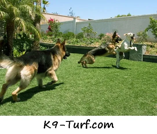 Top-rated lawn care service in Saint Paul, MN by Alternative Landscaping