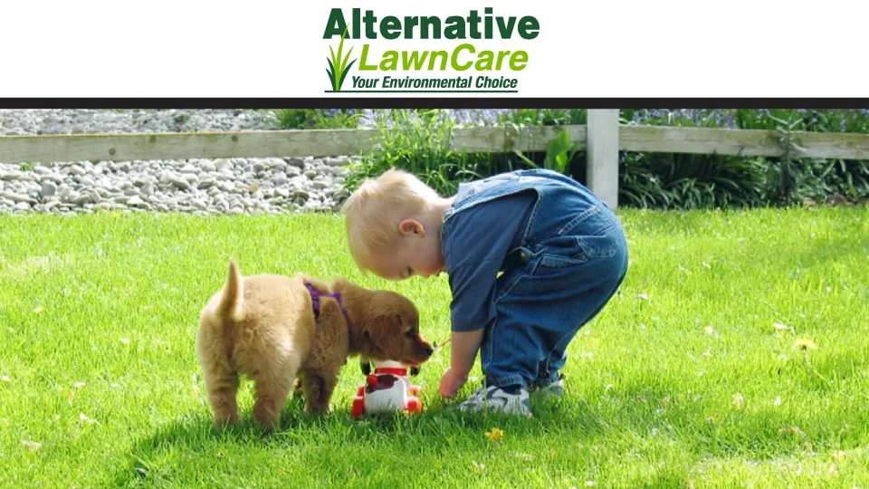 Top-rated lawn mowing service for outdoor upgrades in Sparta, MI by Alternative Lawn Care