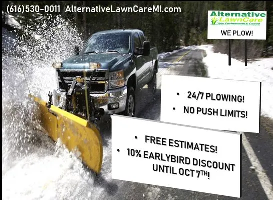 Alternative Lawn Care