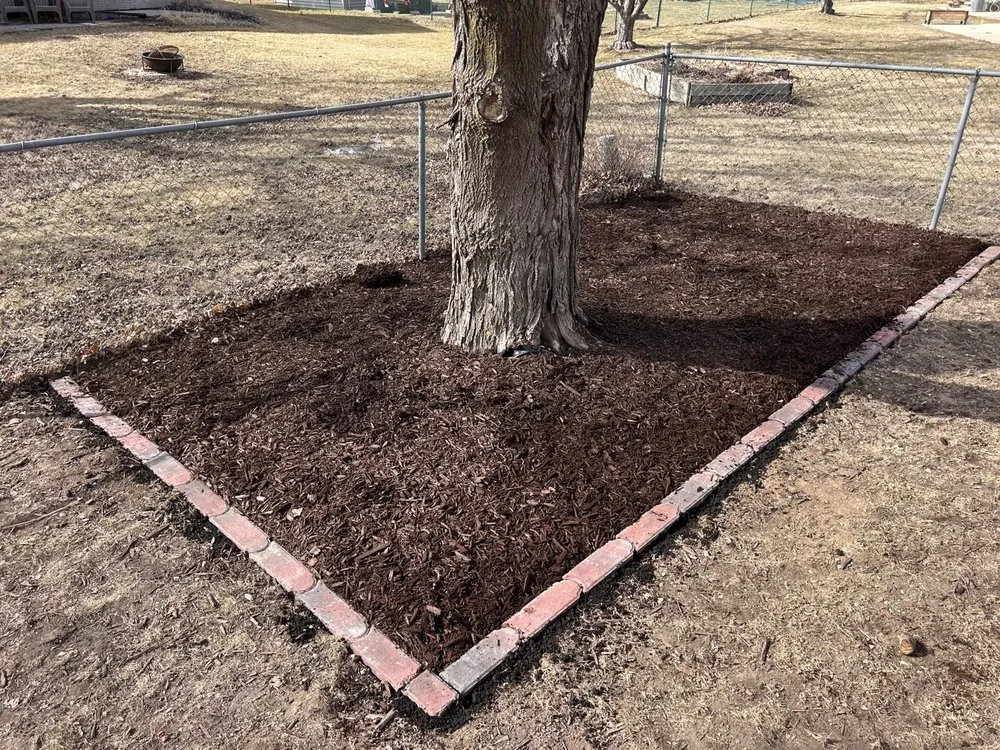 Expert landscaping services in Cedar Rapids, IA - Alternative Outdoor Services