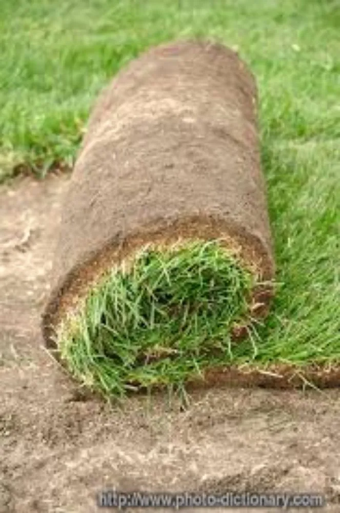 Expert landscape installation in Tulsa, OK - Alternative solutions