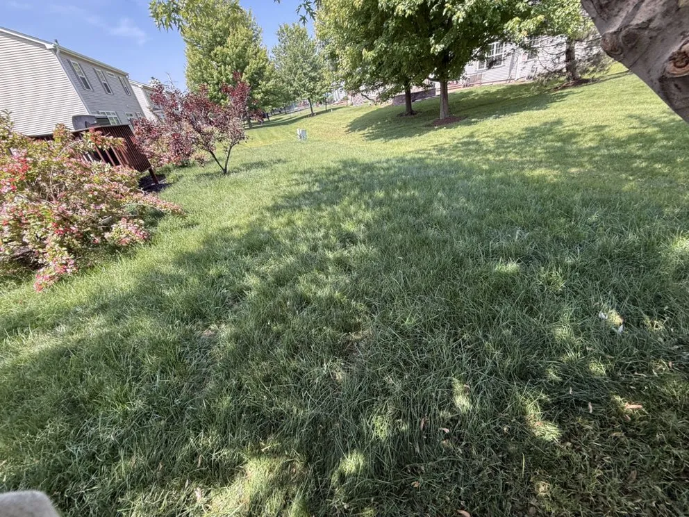 Custom landscape design experts serving Schaumburg, IL - Alther Bros Exterior Care