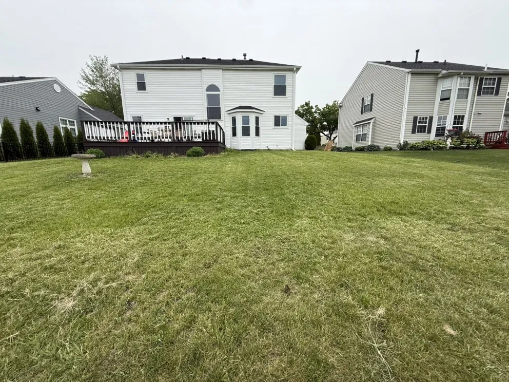 Top-rated landscaping services in Schaumburg, IL - Alther Bros Exterior Care