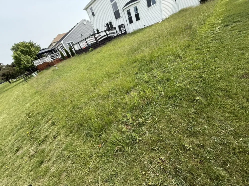 Trusted lawn care service with custom design across Schaumburg, IL - Alther Bros Exterior Care