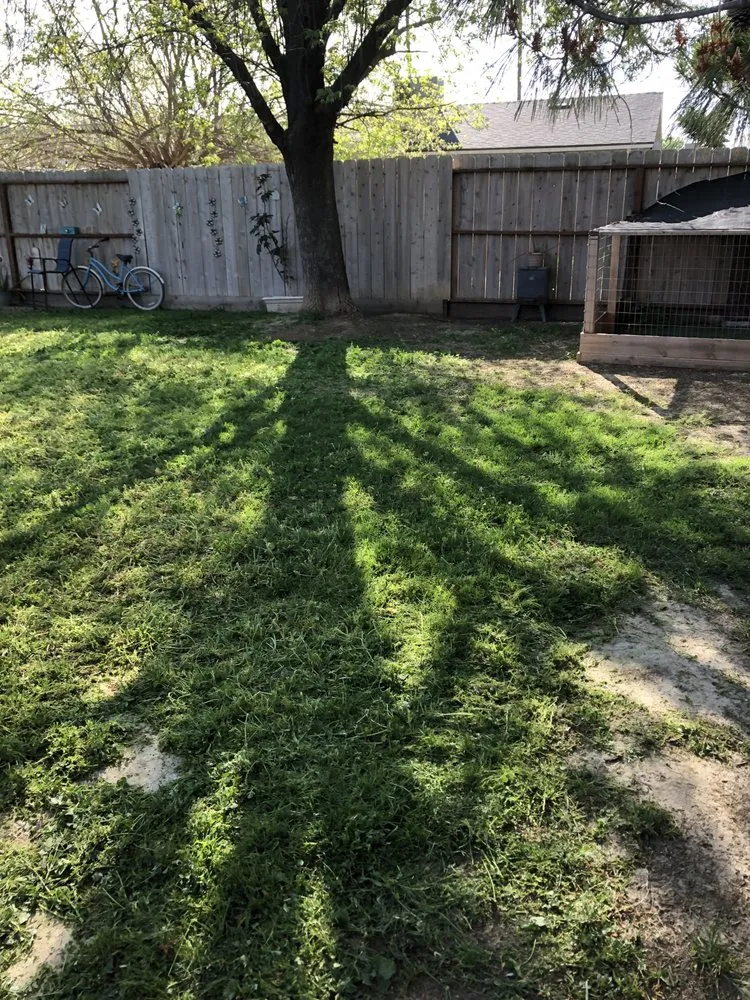 Trusted lawn care service for residential properties in Newman, CA by Althon Lawn & Landscape