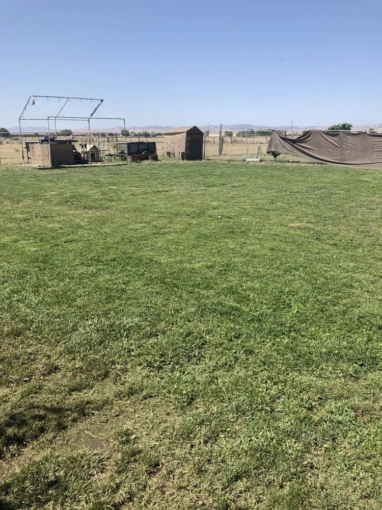 Custom lawn mowing service experts serving Newman, CA - Althon Lawn & Landscape