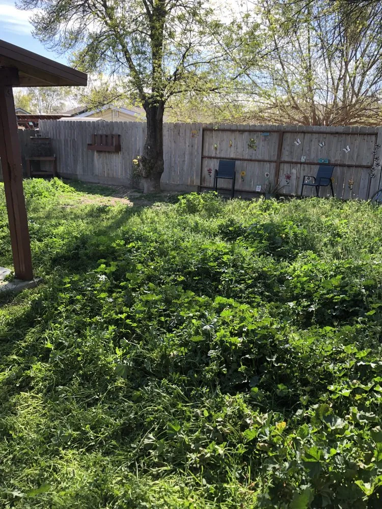 Affordable landscape design for beautiful yards across Newman, CA - Althon Lawn & Landscape