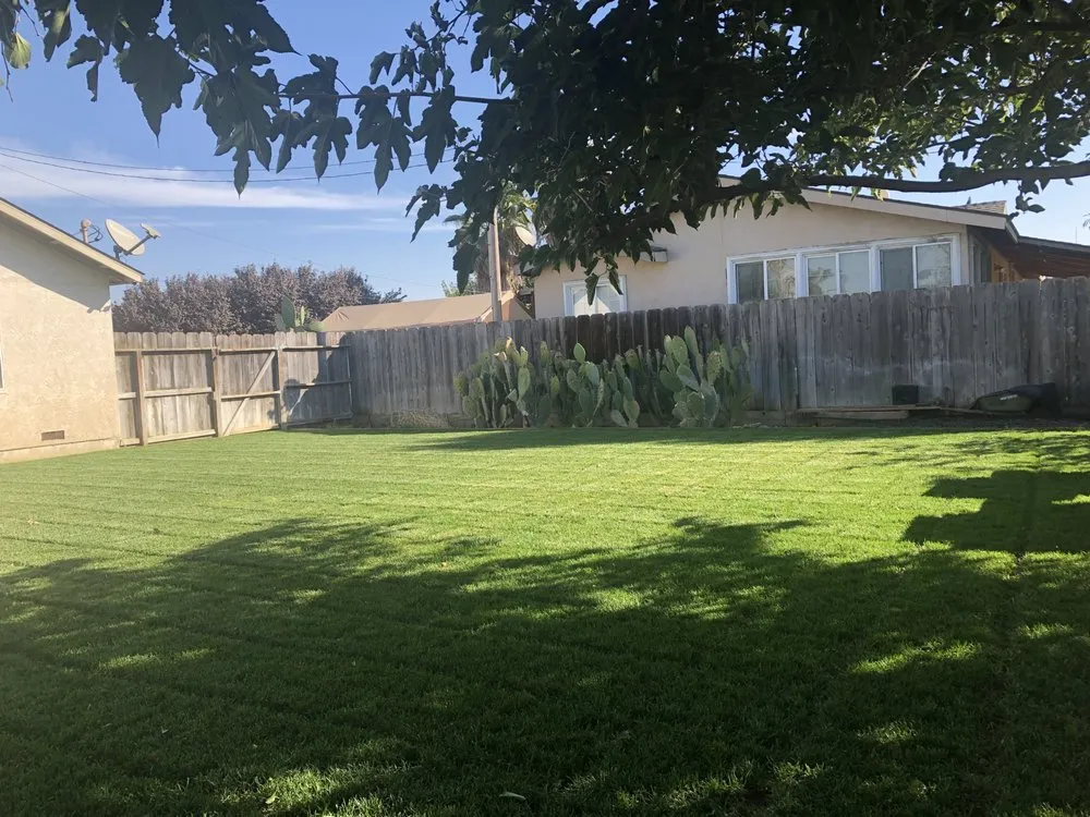 Top-rated landscape design for outdoor upgrades across Newman, CA - Althon Lawn & Landscape