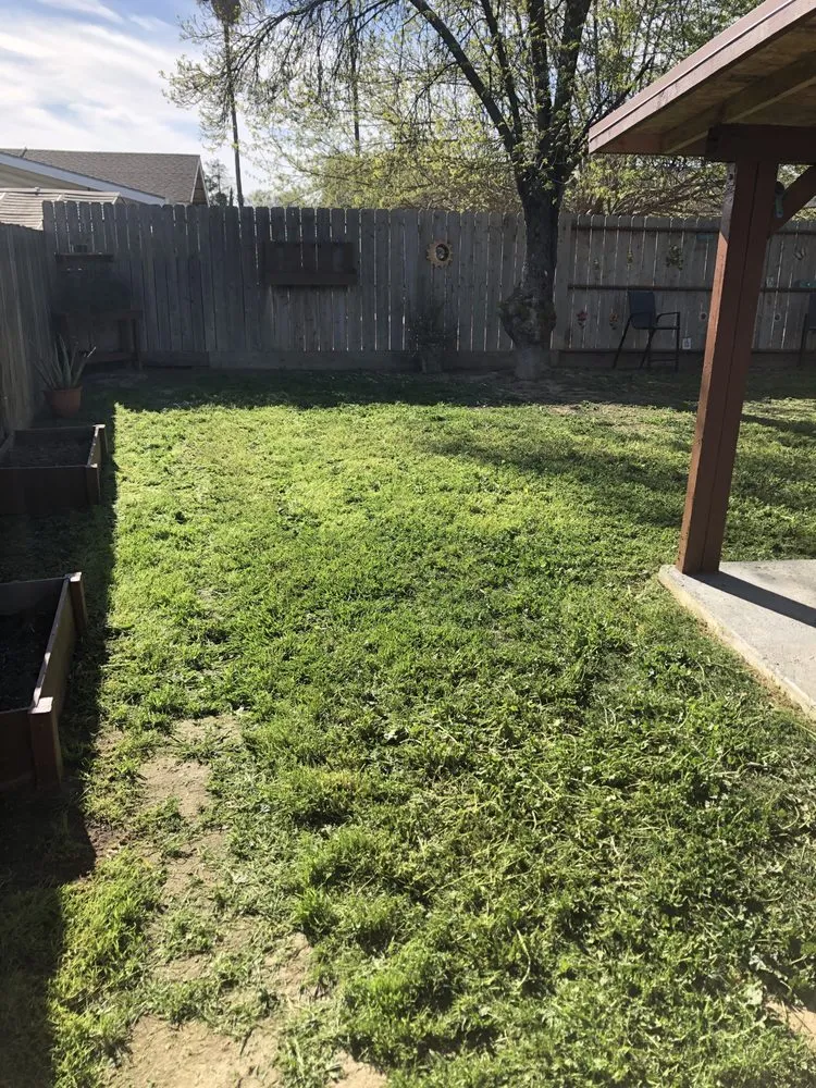 Custom lawn mowing service in Newman, CA - Althon Lawn & Landscape