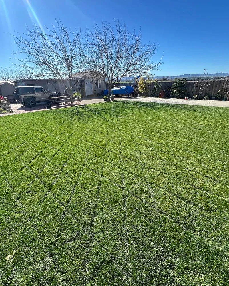 Custom landscaping services in Newman, CA - Althon Lawn & Landscape