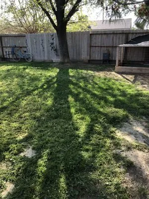 Althon Lawn & Landscape