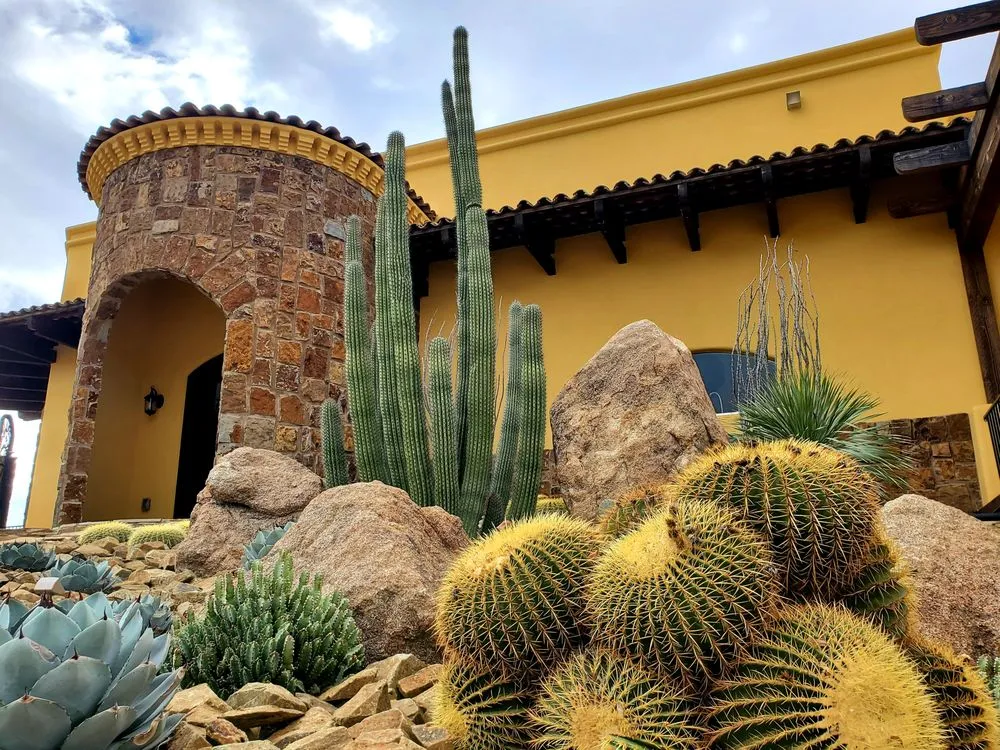 Reliable lawn care service in Phoenix, AZ - Altissimo Landscape Design & Maintenance