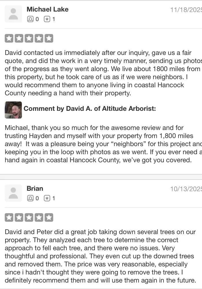 Local yard maintenance experts serving Sullivan, ME - Altitude Arborist