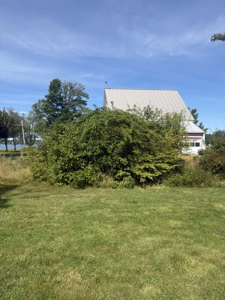 Local yard maintenance in Sullivan, ME by Altitude Arborist