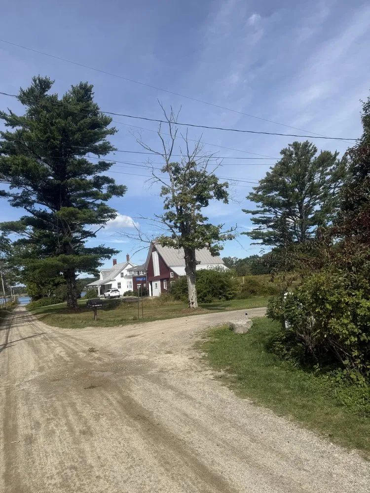 Local yard maintenance experts serving Sullivan, ME - Altitude Arborist