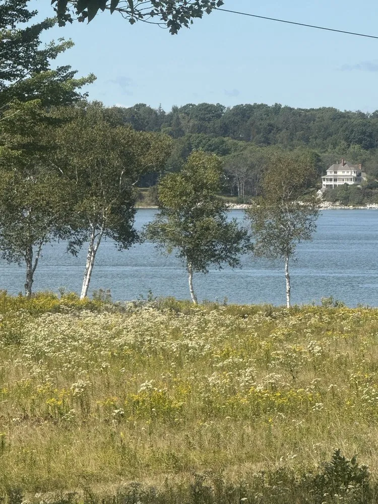 Trusted yard cleanup service for outdoor upgrades in Sullivan, ME by Altitude Arborist