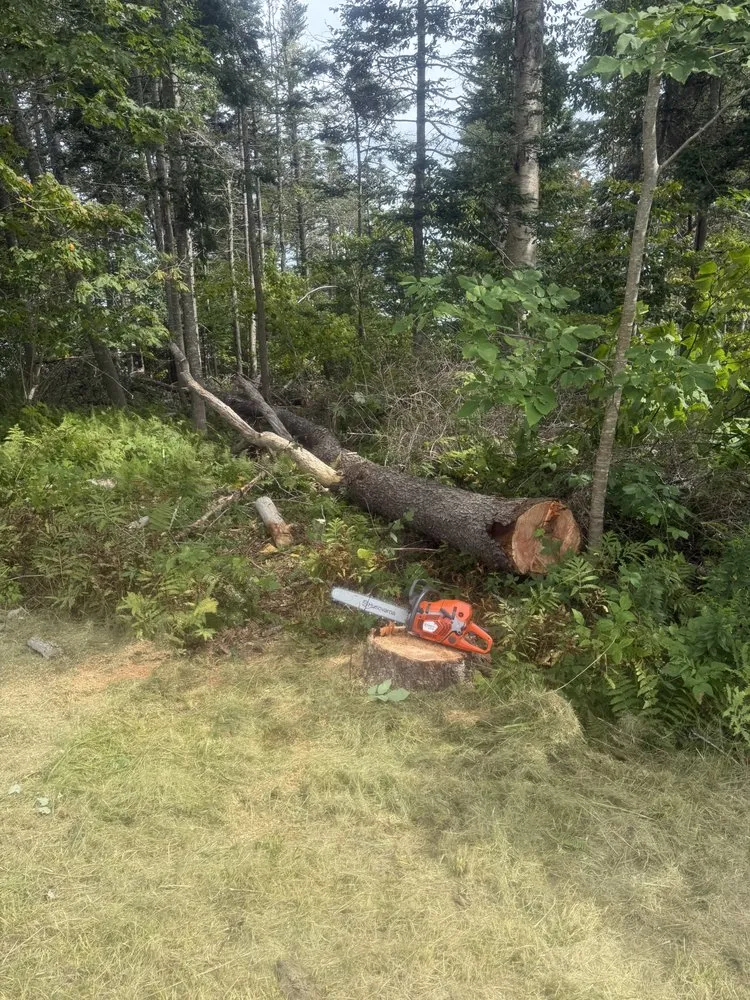 Professional landscape installation experts serving Sullivan, ME - Altitude Arborist