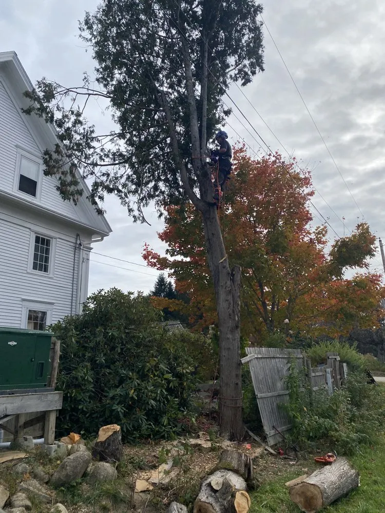 Expert lawn mowing service for outdoor upgrades across Sullivan, ME - Altitude Arborist