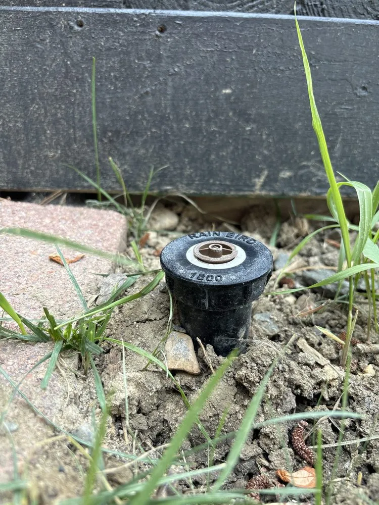 Trusted yard maintenance for beautiful yards in Casper, WY by Altitude Landscaping and Seamless Gutter