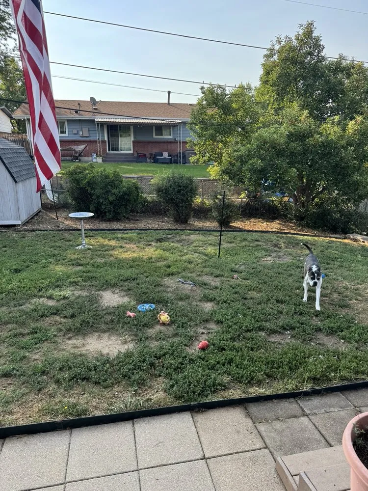 Reliable residential landscaping for year-round maintenance in Denver, CO by Altitude Landscaping