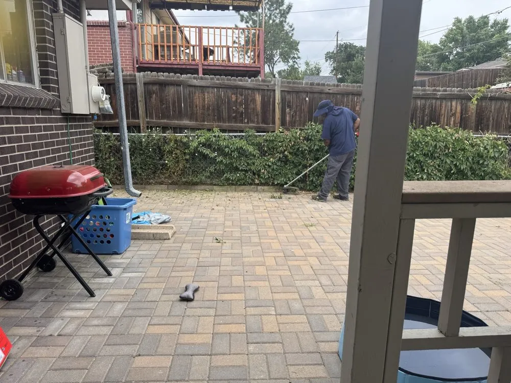 Expert lawn care service near you across Denver, CO - Altitude Landscaping