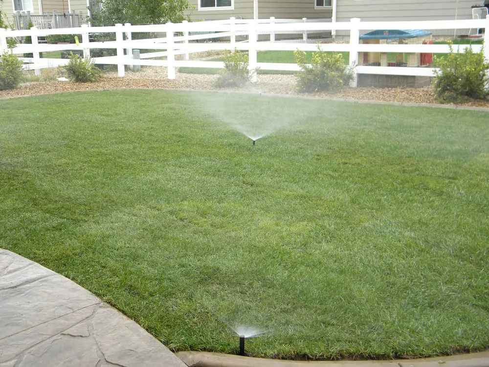 Affordable residential landscaping in Denver, CO by Altitude Sprinkler & Landscape