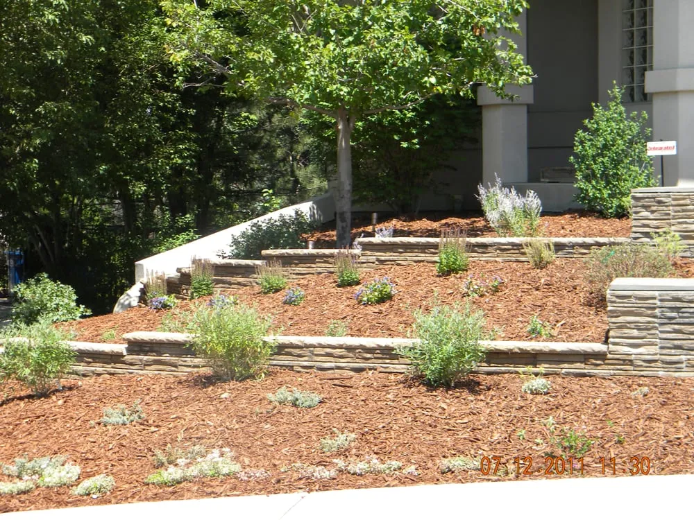 Reliable lawn care service in Denver, CO by Altitude Sprinkler & Landscape