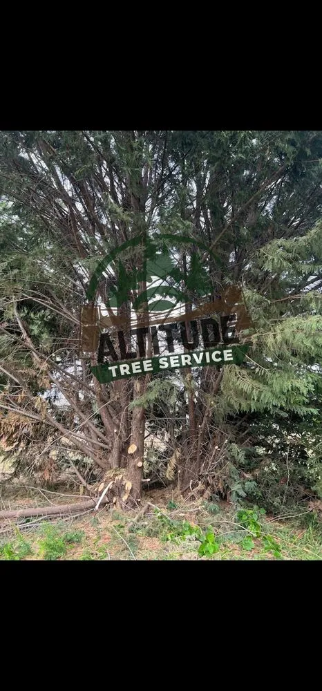 Reliable outdoor landscaping in Lewiston, ID by Altitude Tree Service
