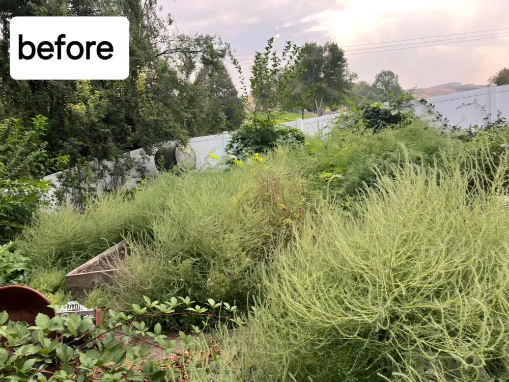 Professional landscape installation near you across Lewiston, ID - Altitude Tree Service